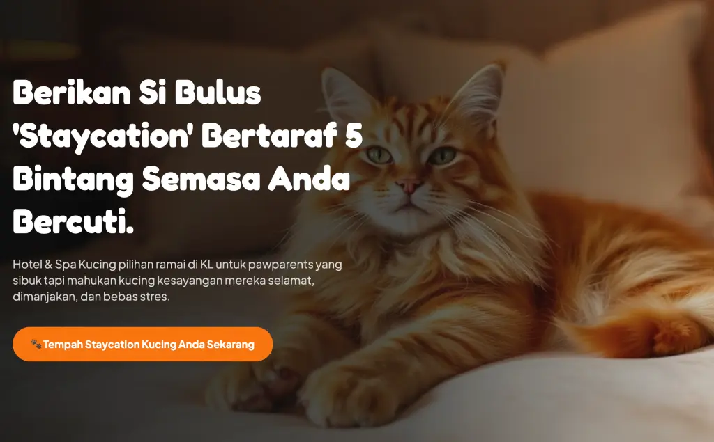 Landing page hotel kucing